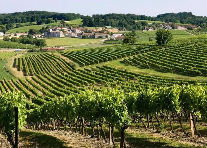 Maison Charentaise A La Campagne